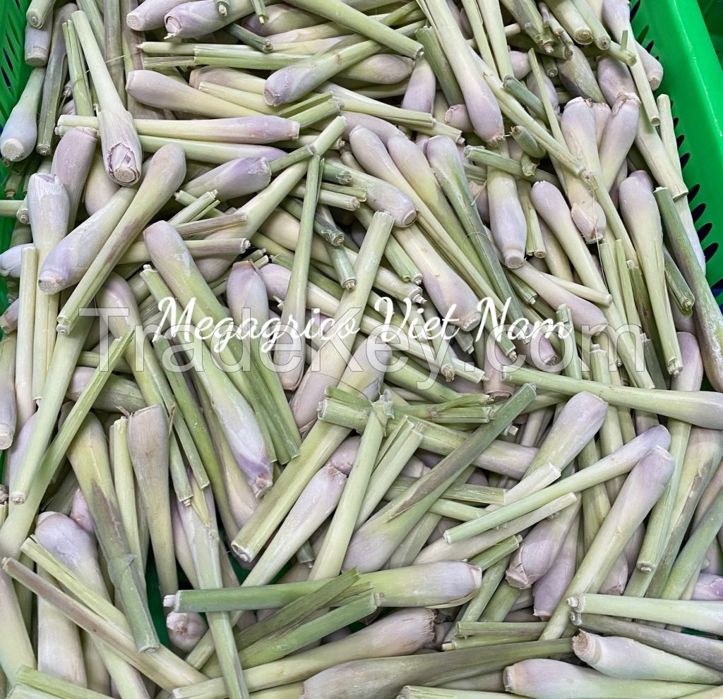 FROZEN LEMONGRASS