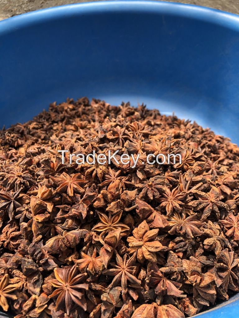 STAR ANISE