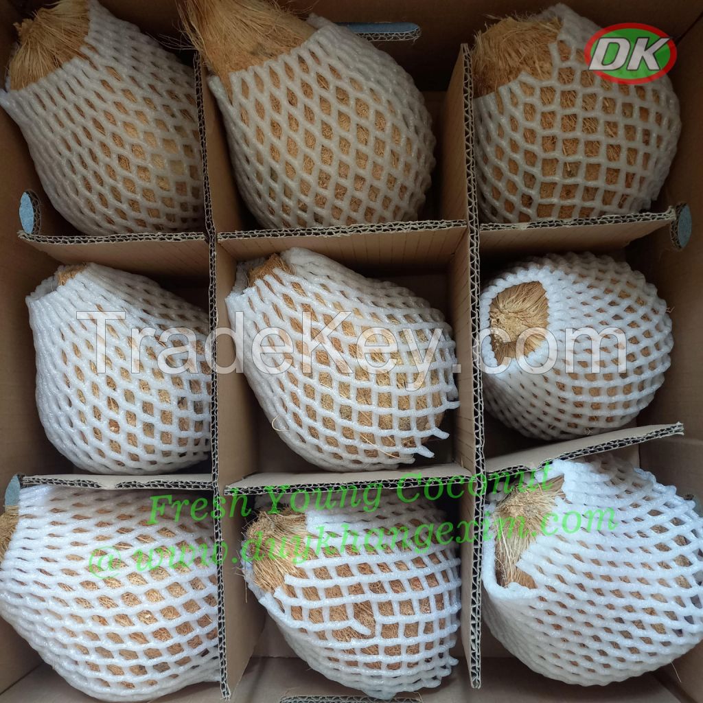 Leading exporter of Coconut/ Ben Tre VN (Whatsapp +84 769 026 486)