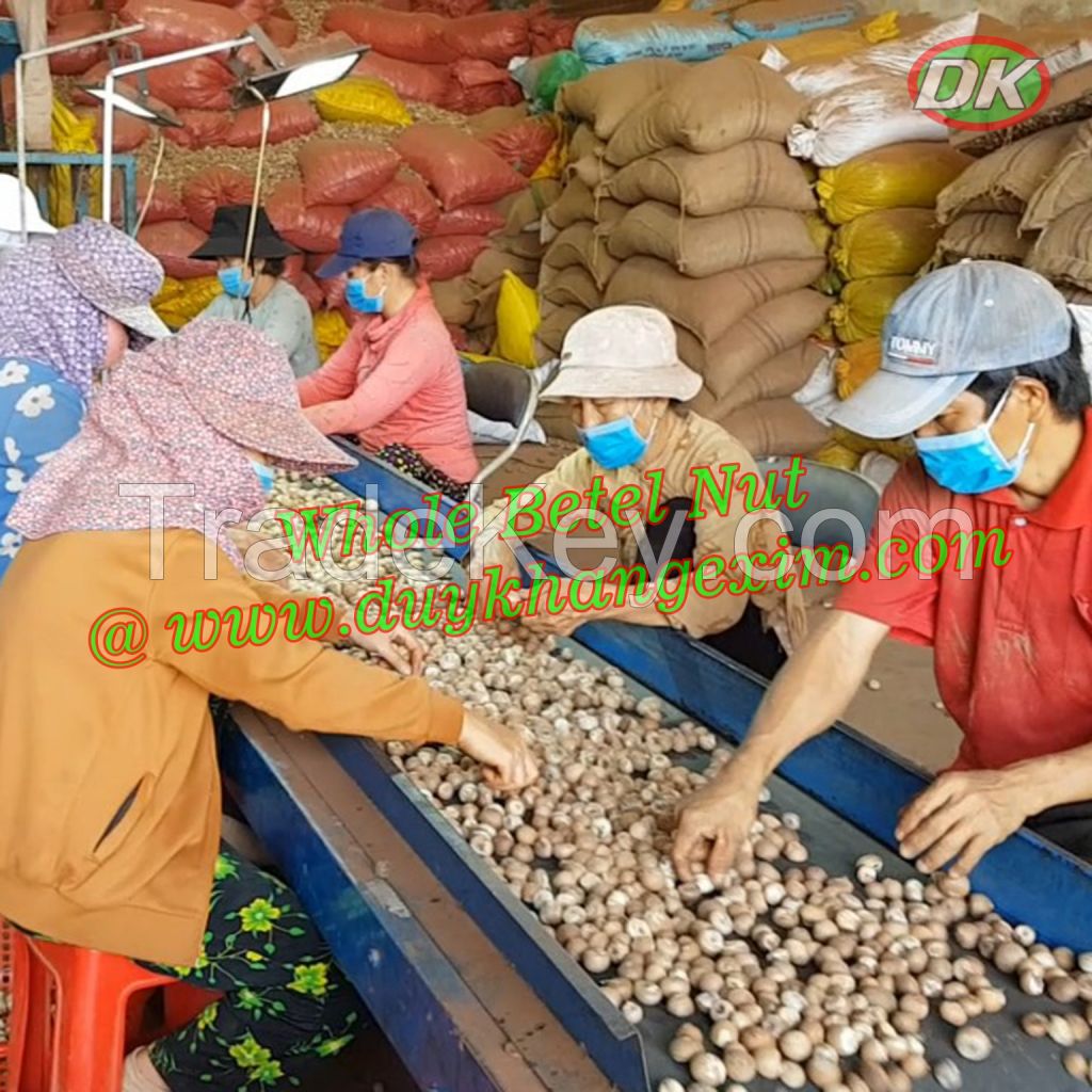 Whole white Betel Nut @Betel Nut Slice/ Whole Boiled Young