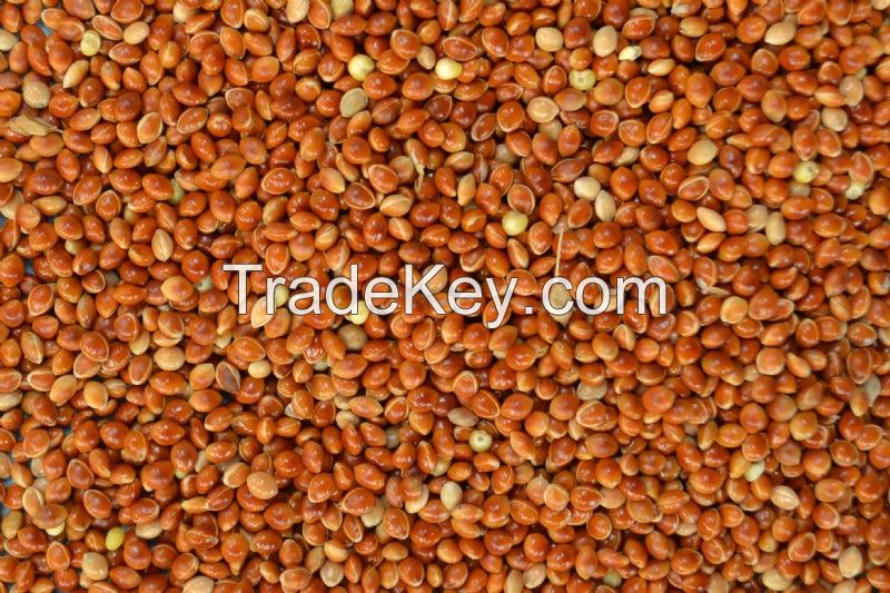 red millet