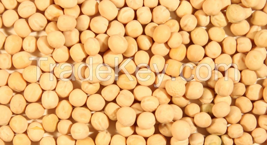 chickpeas