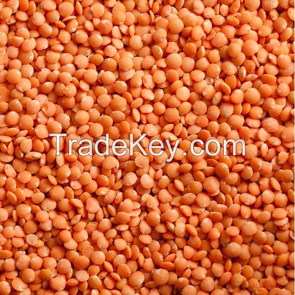 red lentils