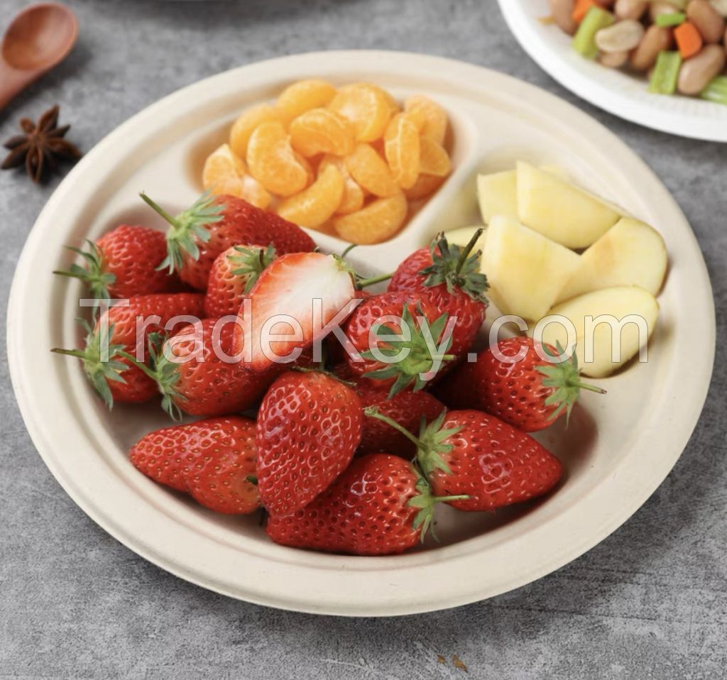 9-Inch Christmas Party Compostable Tableware Disposable Biodegradable Dinner Plate Bagasse Plate (500 Pcs/Box)