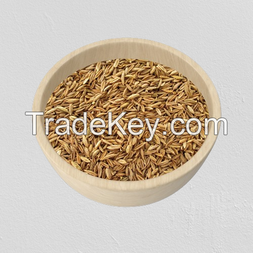 Cumin Seeds