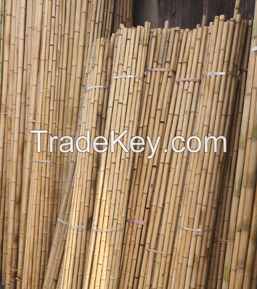 BAMBOO POLE FOR PLANTING AND CONSTRUCTION