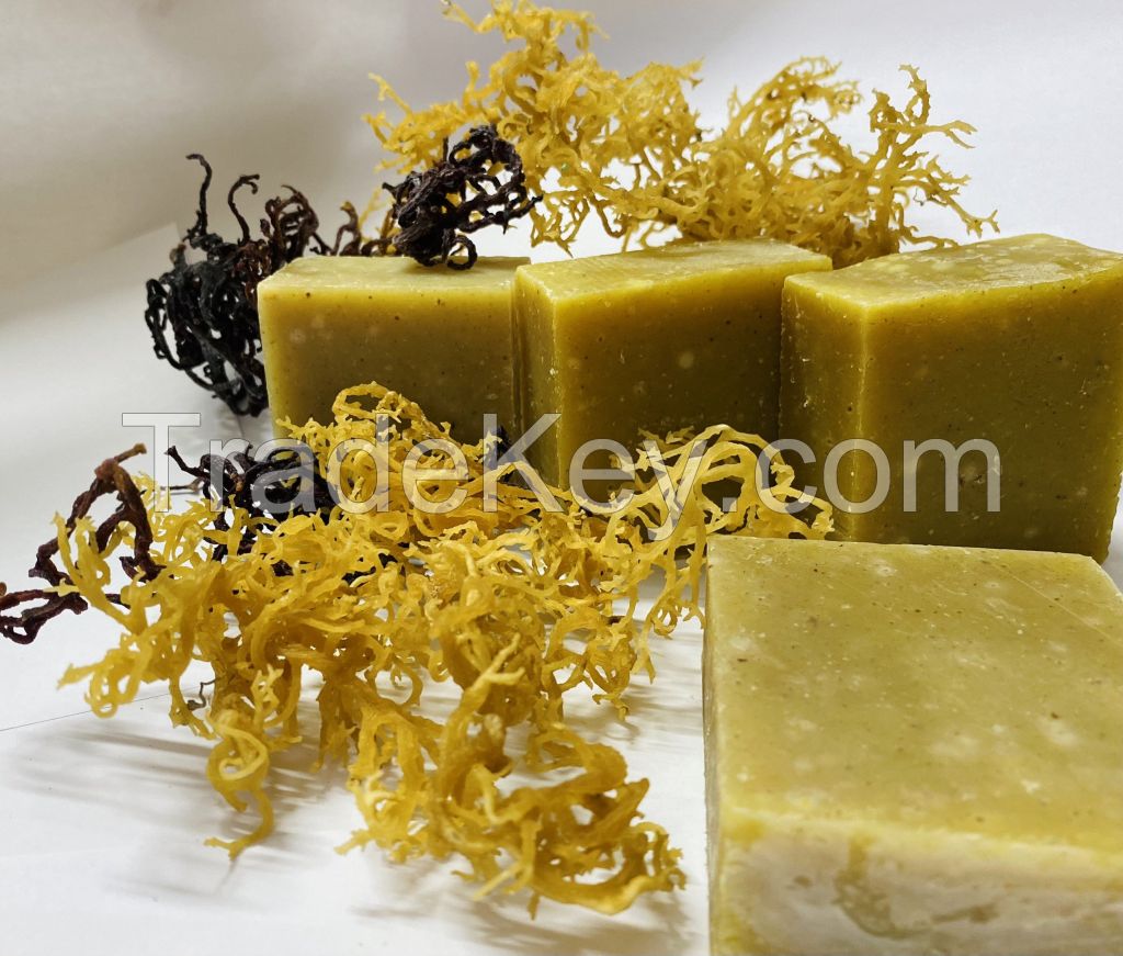 Golden Sea Moss Soap Goof For Skin Made In Vietnam/Dried Sea Moss And Sea Moss Gummies/Ms. Lima (+84) 346565938