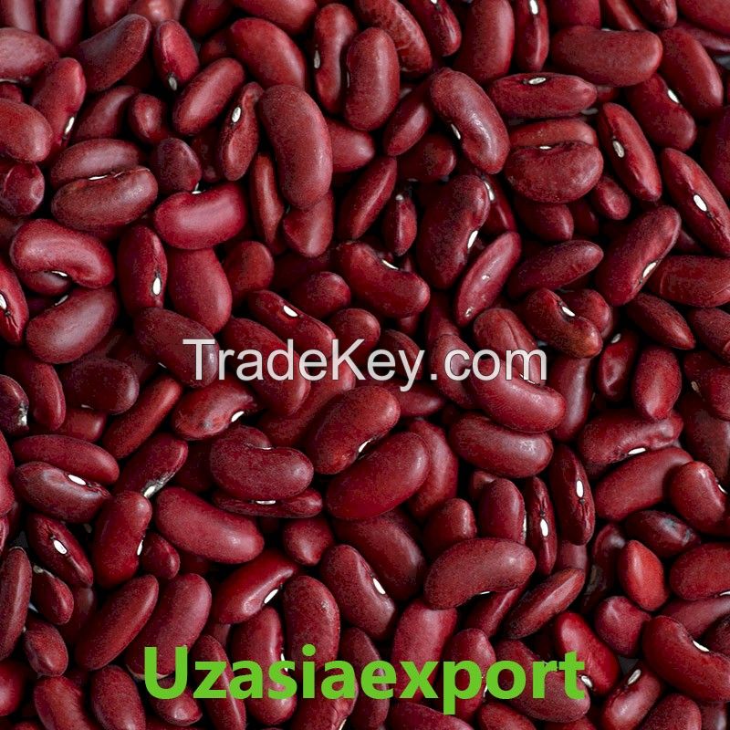 Kidney Beans Available Red and Black