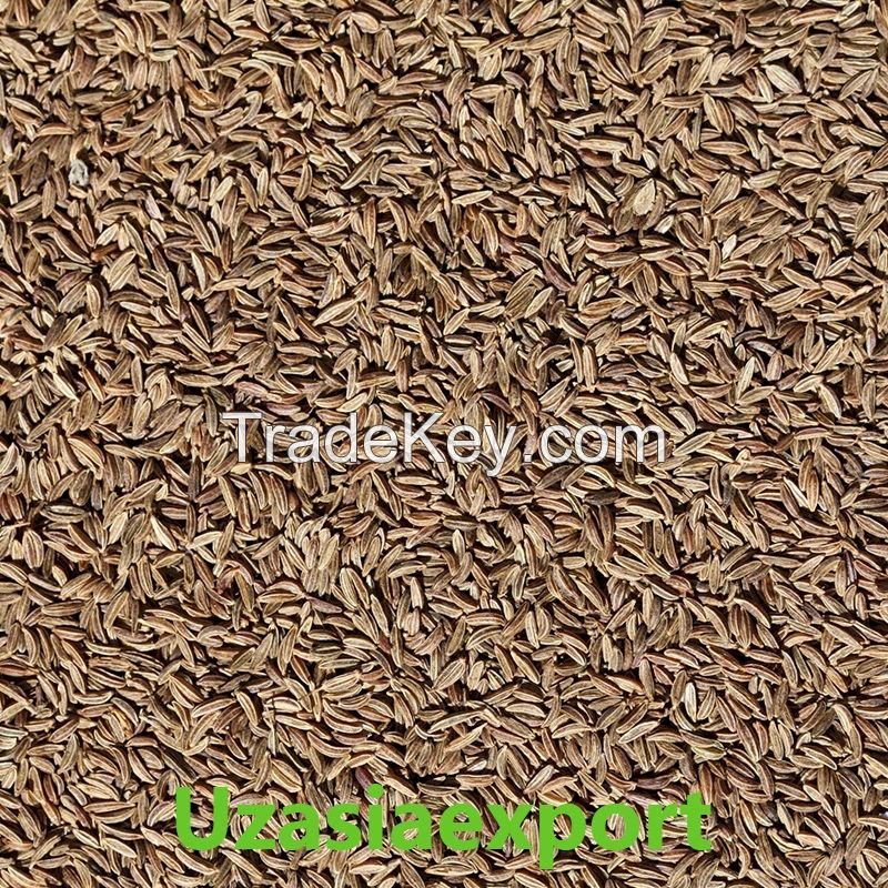 Cumin Seeds