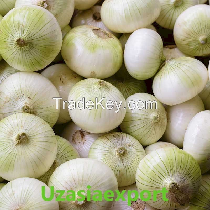 Fresh Onion