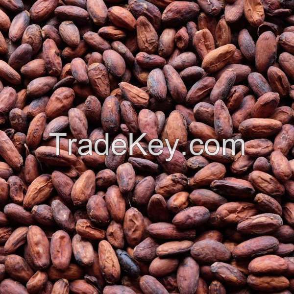 Premium Quality Cocoa Beans