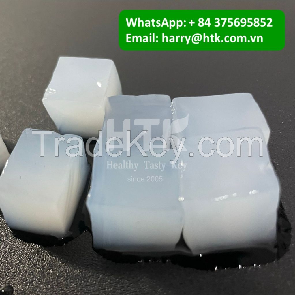 2024 Nata De Coco in Syrup Coconut Jelly by HTK Factory in VietNam