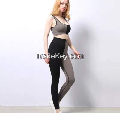 Ladies Seamless Sports Wear Gym Wear Yoga Wear and Active Wear Long Sleeve Crop Top