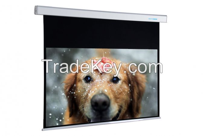 In Ceiling Motorized Projector Screen