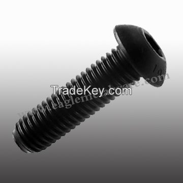 Hexagon Socket Cap Screws Series