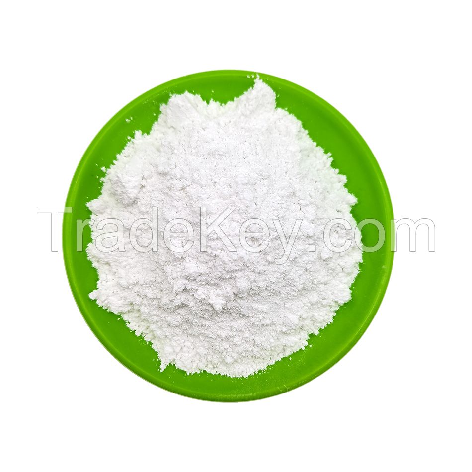 Pigment White Titanium Dioxide Rutile Grade Powder TiO2 for Coating