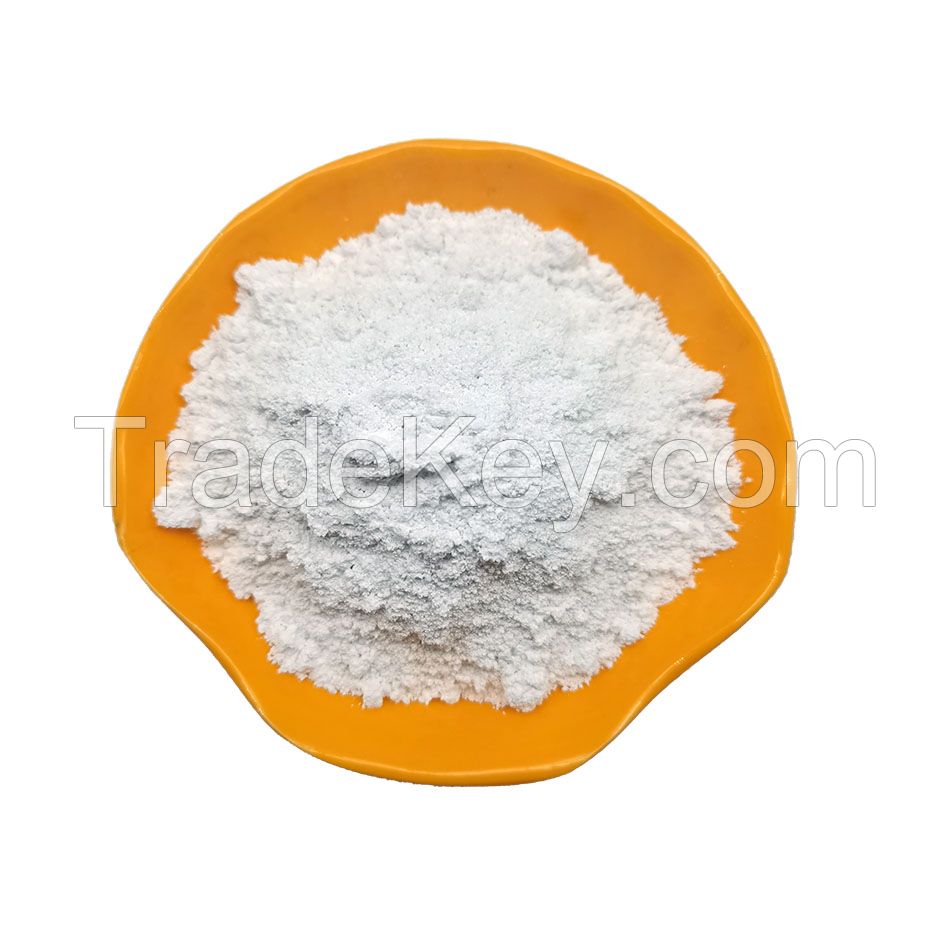 White Pigment Rutile Type Powder TiO2 Titanium Dioxide Anatase / Rutile