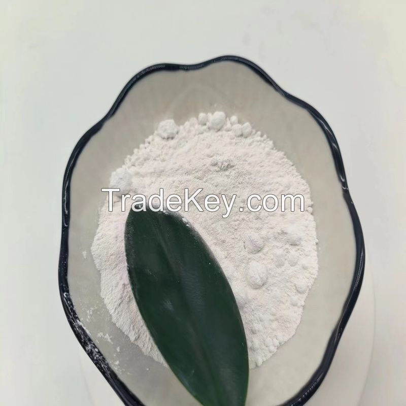 Rutile Crystal Form Titanium Dioxide White Powder Pigment TiO2 for Coating and Paint 