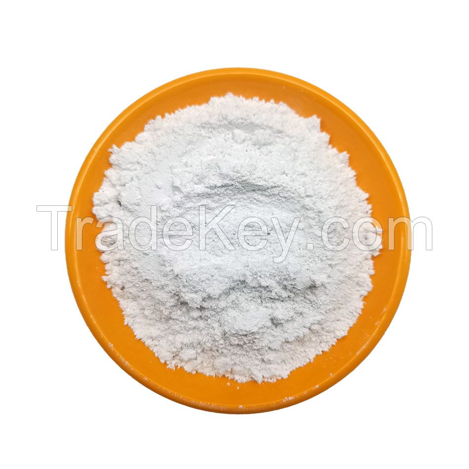 Pigment White Titanium Dioxide Rutile Grade Powder TiO2 for Coating