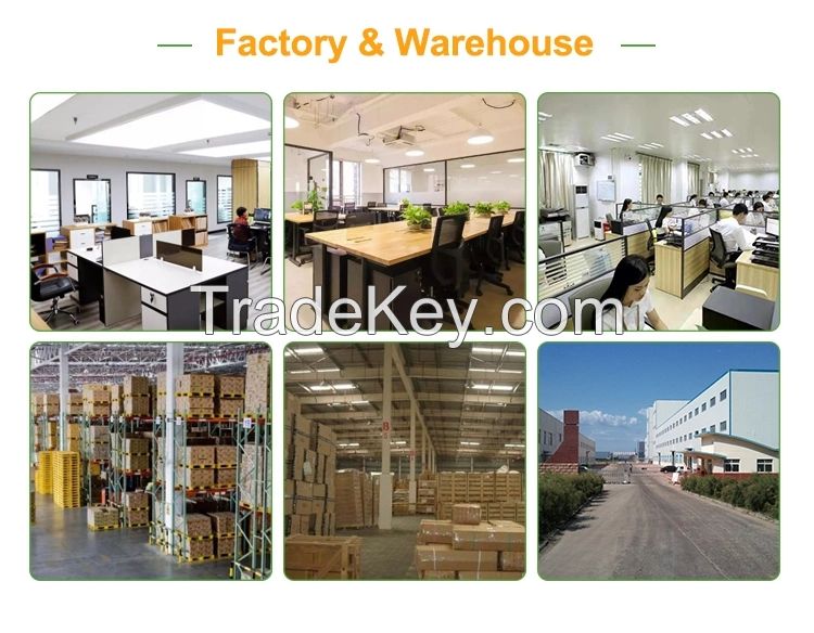 Food Additive Factory Price Sweetener E995 Powder Sucralose