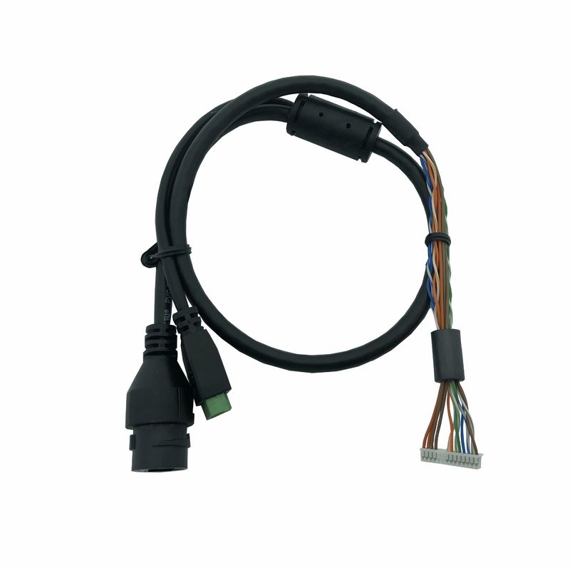 017 Custom Cable Harness Assembly Rj45f/3.81 Pitch 2pin Terminal Block With Lugs Waterproof Wire For Outdoor Cameras