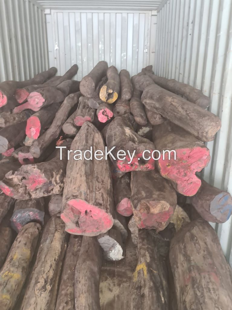 Madagascar Red Rosewood Logs