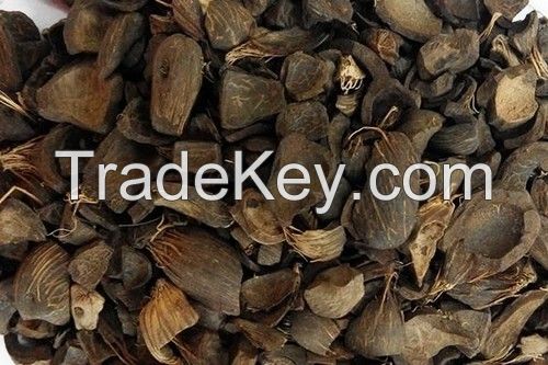 PALM KERNEL SHELLS (PKS)