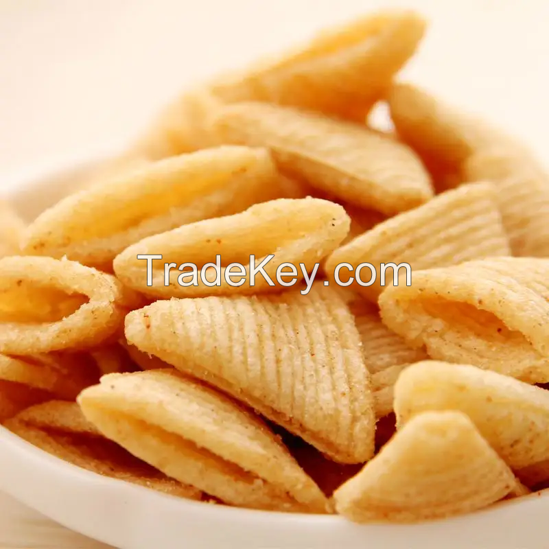 Fried snacks production line 