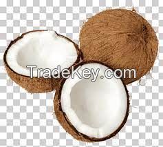 Fresh Coconut