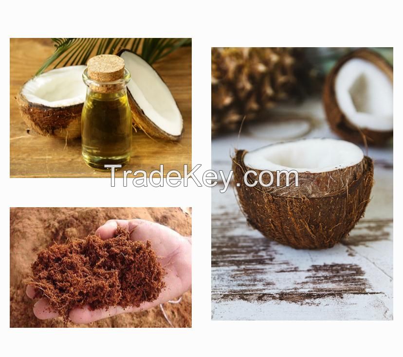 RBD COCONUT OIL /CRUDE COCONUT OIL / VIRGIN COCONUT OIL