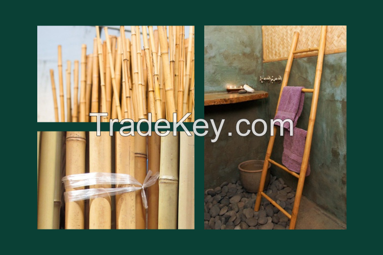 BEST SELLER BAMBOO LADDER FROM VIETNAM