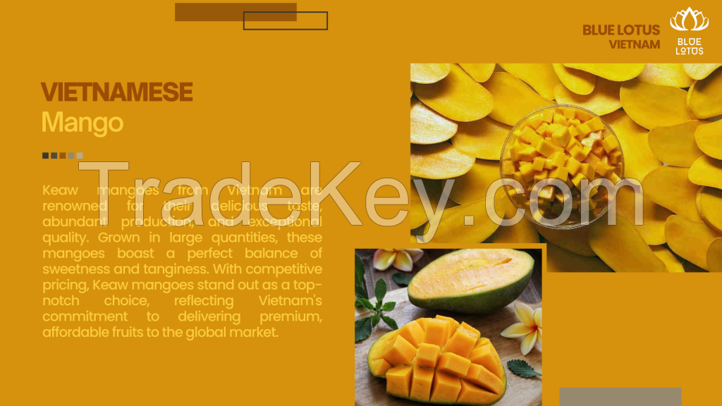 BEST PRICE HIGH QUALITY FROZEN MANGO VIETNAMESE FROZEN FRUIT KAEW MANGO IQF FROM BLUE LOTUS VIETNAM 2023