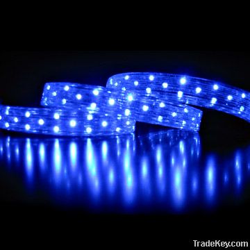 LED Rope Light