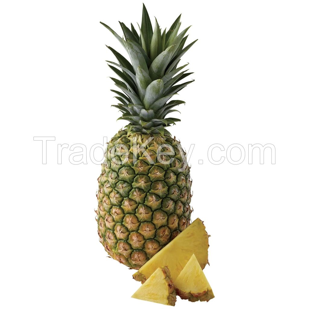 Pineapple Best Quality Cheap Price