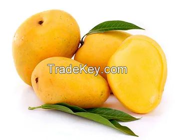 Wholesale Fresh Mango Dokmai Thailand Alphonso Mango Fruit Mango Pulp Yellow Tropical Style Color