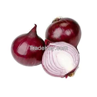 Fresh Red Onion High Grade Cheaper Price Of Thailand