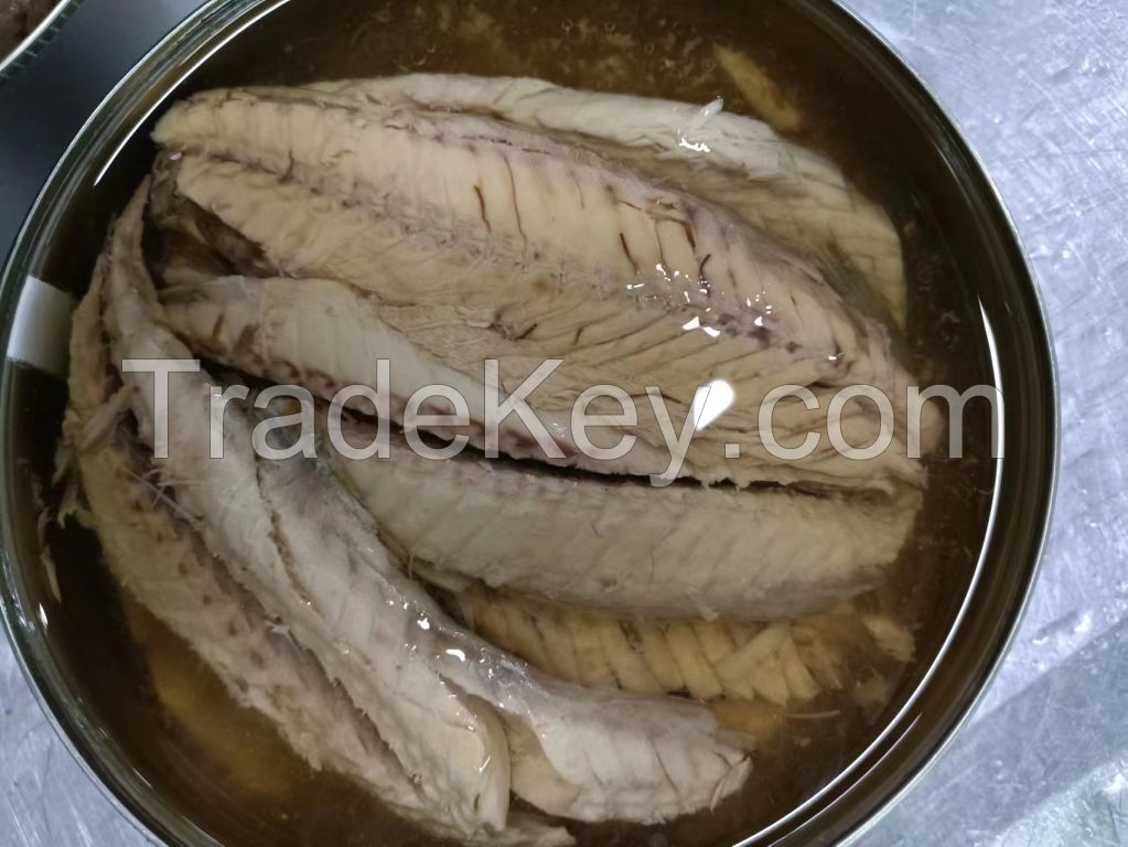 Canned Mackerel Fillets In Oil