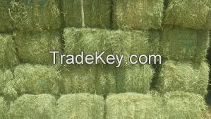 Rhode Grass Hay