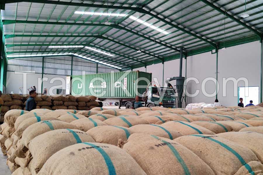 Betel Nuts Split Grade 60/65, 70/75, 80/85, 90/95 &amp;amp; 95+