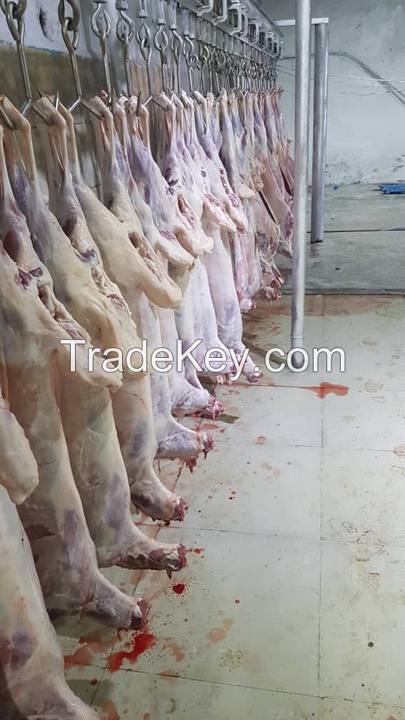 Frozen Fresh Lamb Meat from Mongolia - High-Quality and Grass-Fed