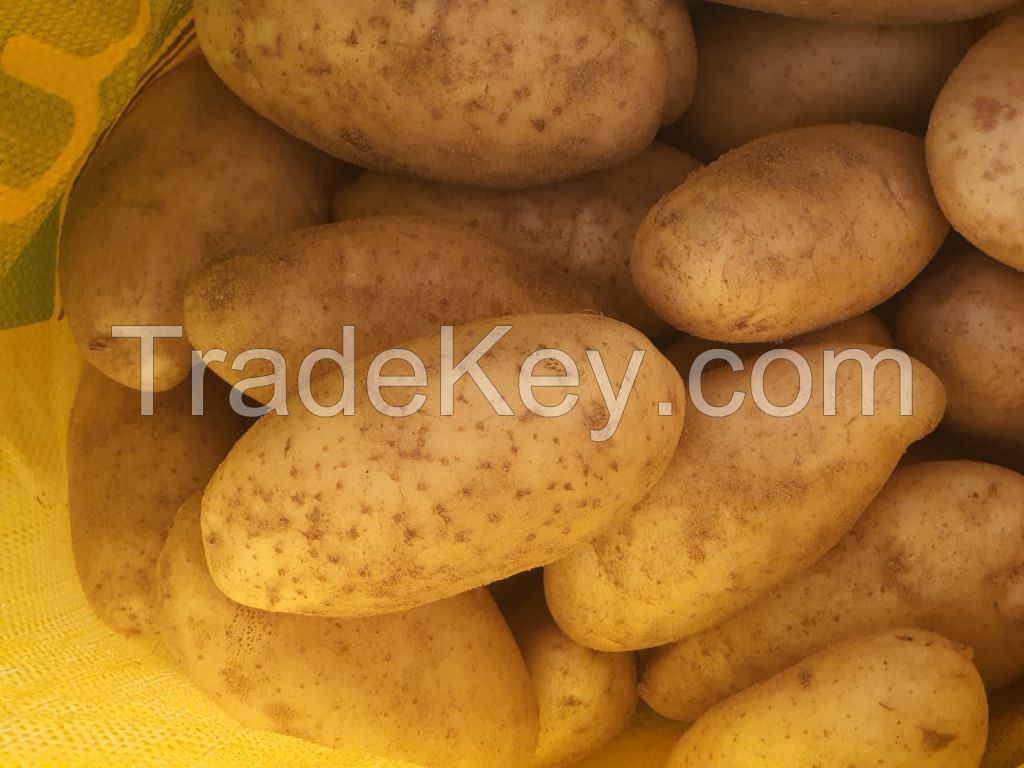 fresh potatoes