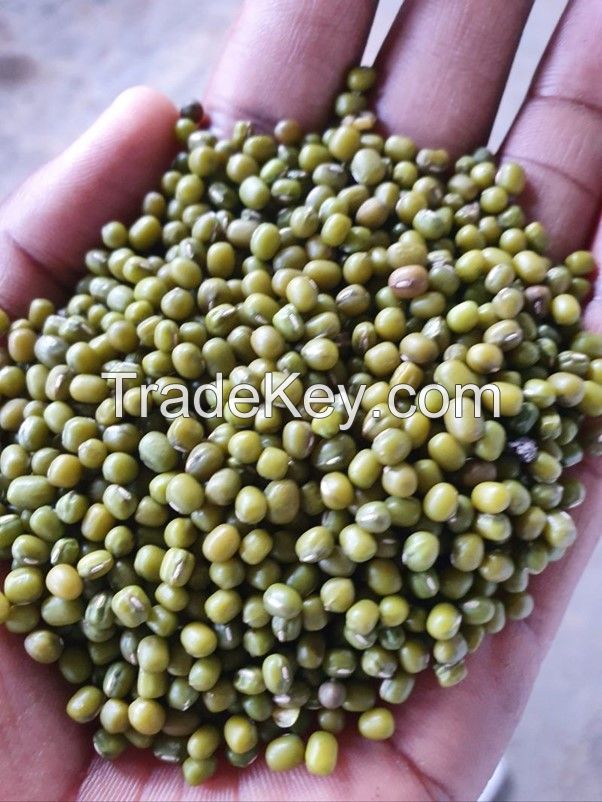 Green Mung Bean Origin ET