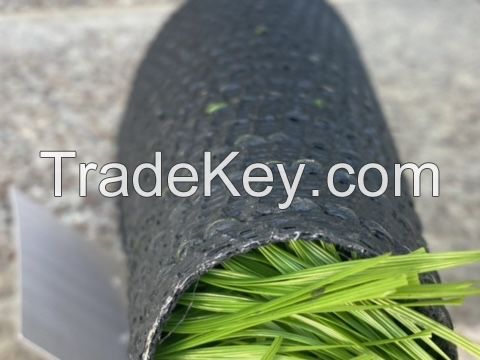 Artificial Grass / Synthetic Turf / Football Grass / Football Field Turf