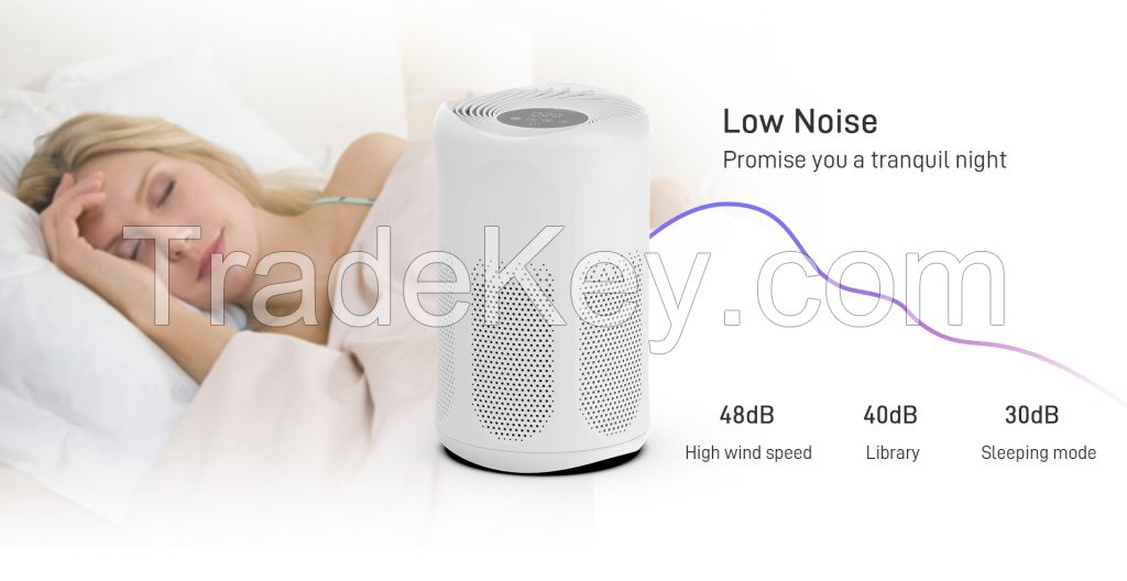 air purifier P1701