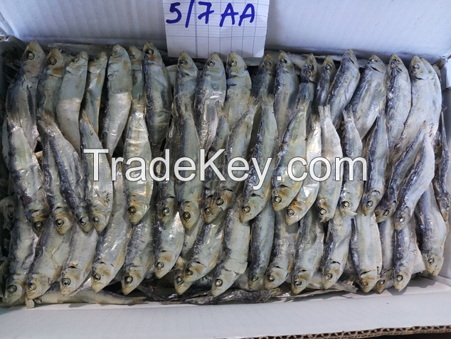 Dried Herring