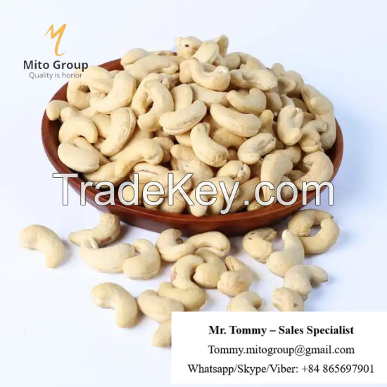 Free Samples Cashew Nuts Wholesale Price WW180 Raw BRC ISO HACCP Certific FREE TAX