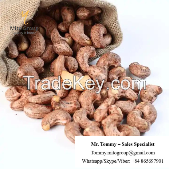 Free Samples Cashew Nuts Roasted with Skin W180 BRC HACCP ISO FREE TAX