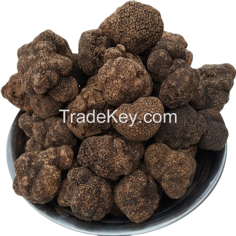 Enjoy Delicious Fresh Black Truffles