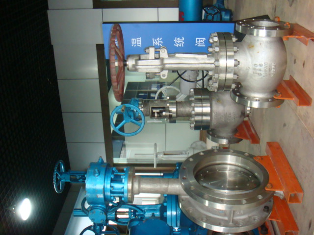 Cryogenic valve