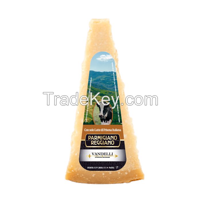 Parmigiano Reggiano Friesian Cow 18 months